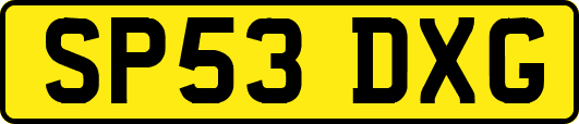 SP53DXG