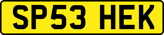 SP53HEK