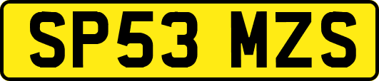 SP53MZS