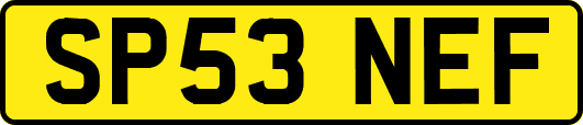 SP53NEF
