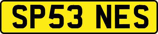 SP53NES