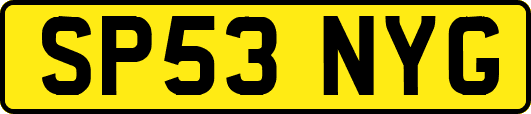 SP53NYG