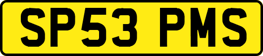 SP53PMS