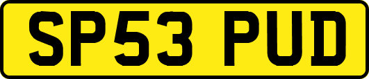 SP53PUD