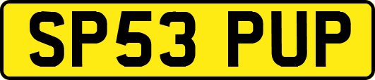 SP53PUP
