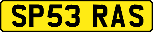 SP53RAS