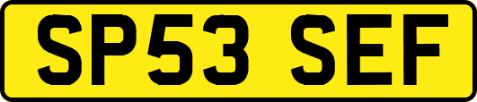 SP53SEF