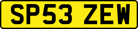 SP53ZEW