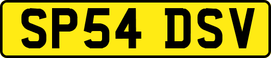 SP54DSV