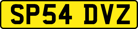 SP54DVZ