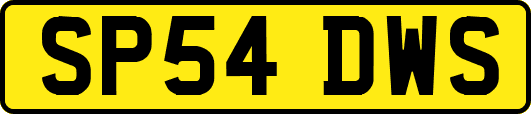 SP54DWS