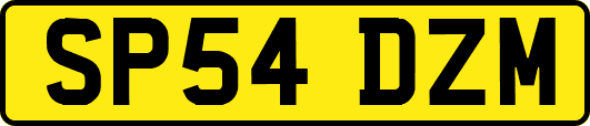 SP54DZM