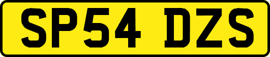 SP54DZS