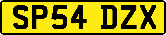 SP54DZX