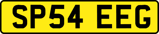 SP54EEG