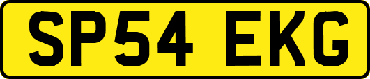 SP54EKG