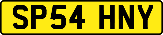 SP54HNY