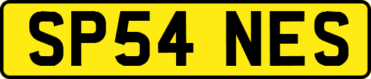 SP54NES