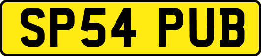 SP54PUB
