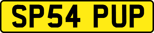 SP54PUP