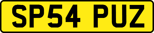 SP54PUZ
