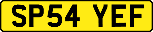 SP54YEF