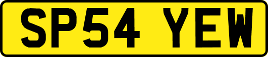 SP54YEW