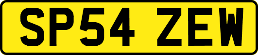 SP54ZEW