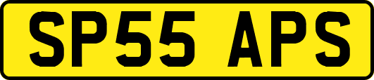 SP55APS