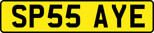 SP55AYE
