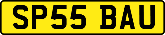 SP55BAU
