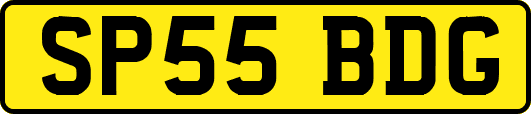 SP55BDG