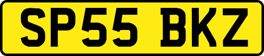 SP55BKZ