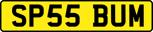 SP55BUM