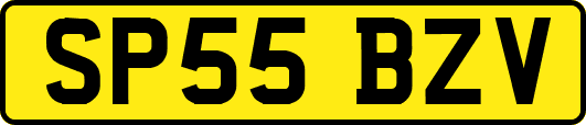 SP55BZV