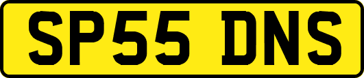 SP55DNS