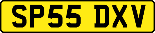 SP55DXV