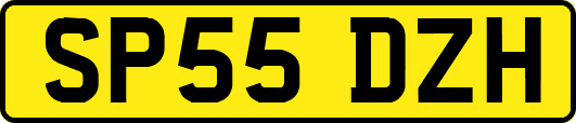 SP55DZH