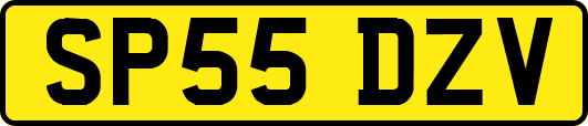 SP55DZV