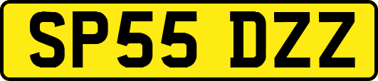 SP55DZZ