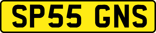 SP55GNS