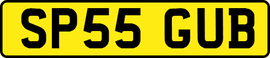 SP55GUB