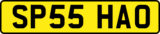 SP55HAO