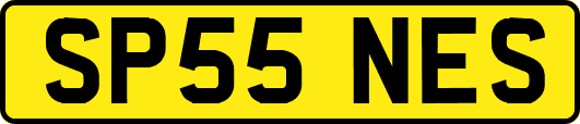 SP55NES