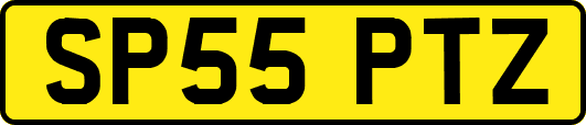 SP55PTZ