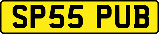 SP55PUB
