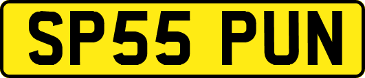 SP55PUN