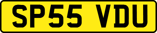 SP55VDU