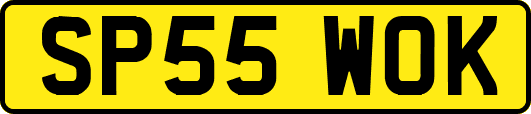SP55WOK