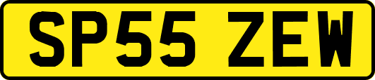 SP55ZEW